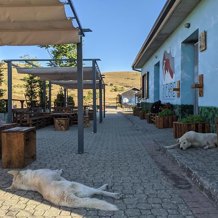 Rifugio Silone Hostel Pescina Kültér fotó