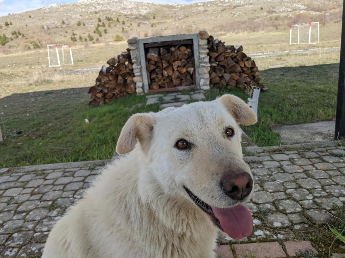 Rifugio Silone Hostel Pescina Kültér fotó